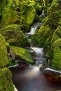 Small waterfall surrounded by green mossy rocks