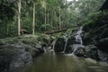 Small waterfall surrounded by green nature forest and mossy on the rock Royalty Free Stock Photo