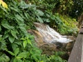 Small waterfall at Konoko Falls in Jamaica Royalty Free Stock Photo