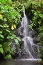 A small waterfall, surrounded by plants. Long exposure Royalty Free Stock Photo