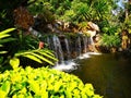 The small waterfall surrounded by a variety of shrubs, which are Royalty Free Stock Photo