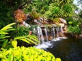 The small waterfall surrounded by a variety of shrubs, which are Royalty Free Stock Photo