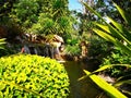 The small waterfall surrounded by a variety of shrubs, which are Royalty Free Stock Photo