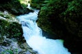 Small waterfall in the Vintgar Gorge Royalty Free Stock Photo