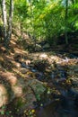 Small waterfalls, autumn nature surroundings Waterfall DÃÂ­rka in the Czech forest landscape. 2