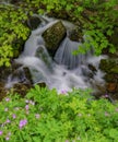 Small WaterFalls in the Blue Ridge Mountains Royalty Free Stock Photo