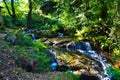 Small waterfalls in middle of a forest. Pure nature Royalty Free Stock Photo