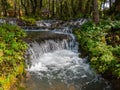 Small waterfalls on a mountain stream south of Sipovo. Royalty Free Stock Photo