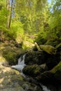 Small waterfalls in Rain forest Royalty Free Stock Photo