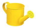 Small watering can Royalty Free Stock Photo