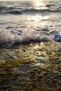Waves Crushing on Seaweed Rock