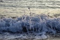 Small wave splash with blurred drops at sandy beach