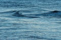 Small wave tunnel created by a boat in the water