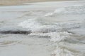 Gentle waves washing over a submerged rock. Royalty Free Stock Photo