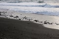 Small waves rolling onto a black sand beach strewn with rocks and pebbles in Hana Bay, Maui, Hawaii Royalty Free Stock Photo