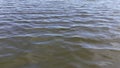 Small waves on the surface of a pond or lake. Water and waves screensaver