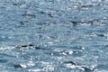 small waves on the surface of the reservoir in summer