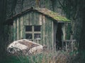 Small weathered hut in the forest