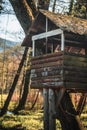 Autumn Forest Treehouse Royalty Free Stock Photo