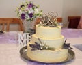 small wedding cake Royalty Free Stock Photo