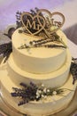 small wedding cake Royalty Free Stock Photo
