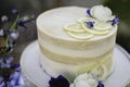 Small wedding cake with lemon accents Royalty Free Stock Photo