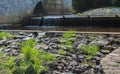 Small weir with grass and stone in front. Royalty Free Stock Photo