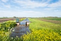 Small weir for water level control in a Dutch polder Royalty Free Stock Photo