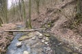 Small well next to a forest stream