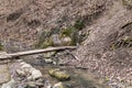 Small well next to a forest stream