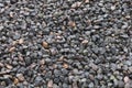 Small Wet Black Stone & Rocks On Back Beach Surface Royalty Free Stock Photo