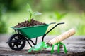 Small wheelbarrow with growing seedling. Rake and shovel on wooden board in garden. Selective focus Royalty Free Stock Photo