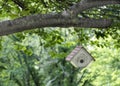 Small White Bird House In Cherry Tree
