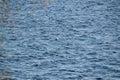 Small white and blue buoy floating in Kempenfelt Bay on windy afternoon Royalty Free Stock Photo