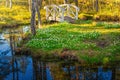 Small white bridge to a little island filled with white springflowers on green grass, water reflects the blue sky Royalty Free Stock Photo