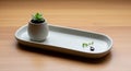 Small, white ceramic tray with an Royalty Free Stock Photo