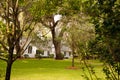 Small White Church Through Trees and Green Lawn Royalty Free Stock Photo