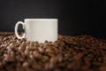 A small white cup on coffee beans on a black background. Space for text. Close-up Royalty Free Stock Photo