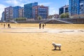 Small white dog on the beach in Gijon, Asturias Spain