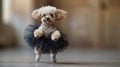 Small White Dog Wearing Black Tutu Royalty Free Stock Photo