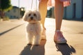 Small white dog walking along street with girl owner in pink shoes and dress