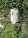 Small white door in an Enghlish garden surrounded by green plants and colourful flowers Royalty Free Stock Photo