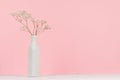 Small white dried flowers in elegant high ceramic vase on soft pastel pink background, copy space.