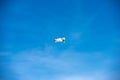 Small White Drone Flying on Blue Sky with Clouds Royalty Free Stock Photo