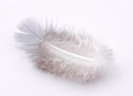 Small white feather Royalty Free Stock Photo