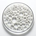 White Plastic Plate With Intricate Holes: Fluid Glass Sculpture Inspired Design