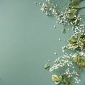 Small white gypsophila flowers on pastel green background. Women`s Day, Mother`s Day, Valentine`s Day, Wedding concept. Flat la Royalty Free Stock Photo