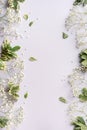 Small white gypsophila flowers on pastel grey background. Women`s Day, Mother`s Day, Valentine`s Day, Wedding concept. Flat lay Royalty Free Stock Photo