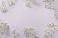 Small white gypsophila flowers on pastel grey background. Women`s Day, Mother`s Day, Valentine`s Day, Wedding concept. Flat lay Royalty Free Stock Photo