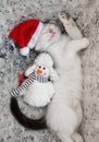 Small white kitten with a black tail in a Santa hat sleeps sweetly, lying on its side on a light soft knitted scarf Royalty Free Stock Photo